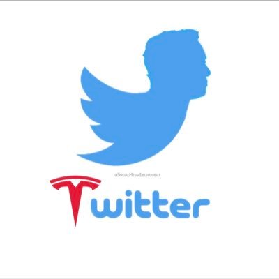 Eccentricahole's profile picture. 