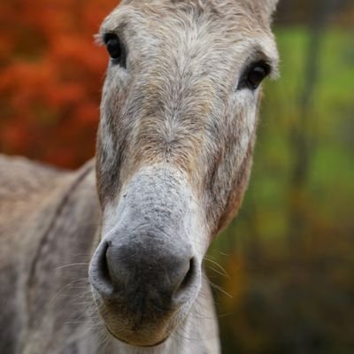 The_Spur22's profile picture. 