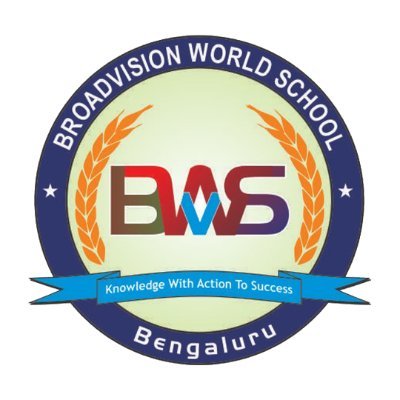 Broad Vision world School