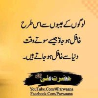 Muhammad Hamza (@shahbaz95800617) 's Twitter Profile
