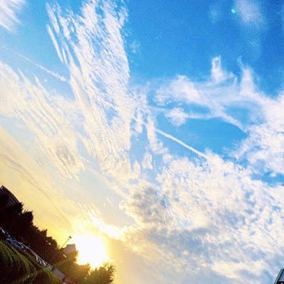 kwmrdik925_'s profile picture. 