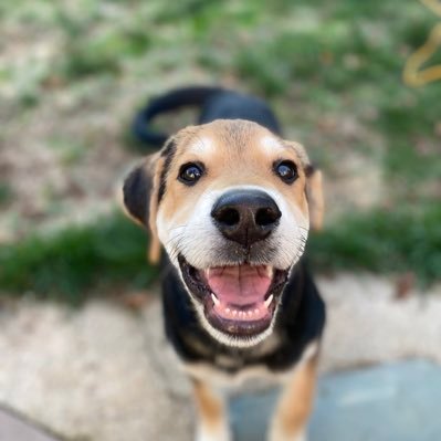 My nickname is “Little Fudge” and I have a lot to say about that…
