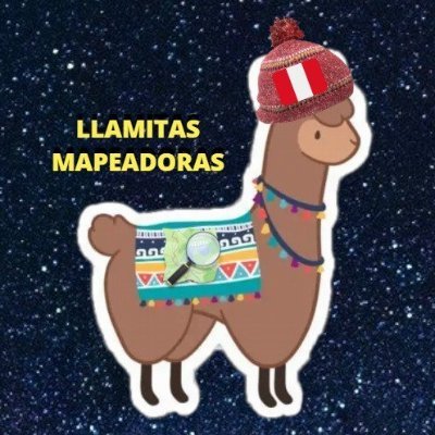 Llamitas Mapeadoras YouthMappers UNMSM 🦙🔥