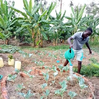 I am a permaculture practitioner and I use my knowledge to support the vulnerable around through good provision.
https://t.co/RxXrDTh2iq