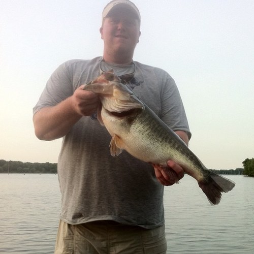 tator74's profile picture. 