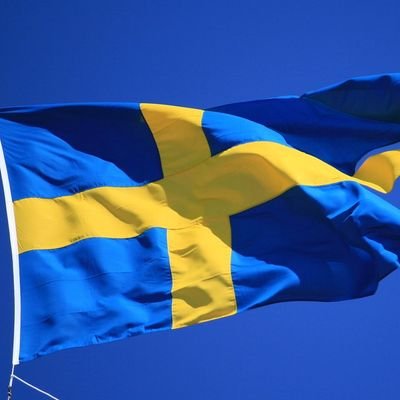 ReduceringsKung's profile picture. 