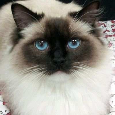 AnnetteJeger1's profile picture. 23. Jahre. Corralejo fuerteventura.