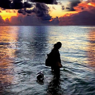 Royaleagles1's profile picture. 