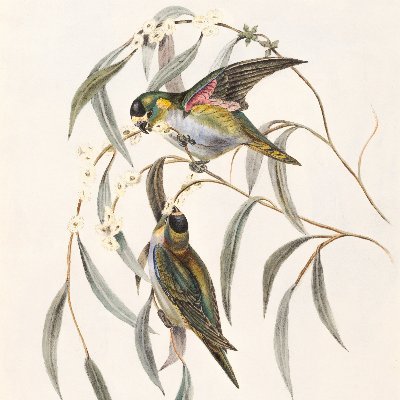 NikaBotanika's profile picture. I'm a hobby bot project.