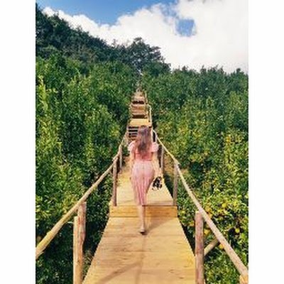 mapl3lypl3's profile picture. 