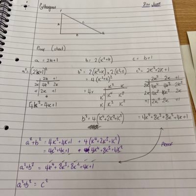 Maths teacher with 10+ years in FE, making the change to secondary! Taking the PGCE route. Very nervous but excited for the journey ahead.