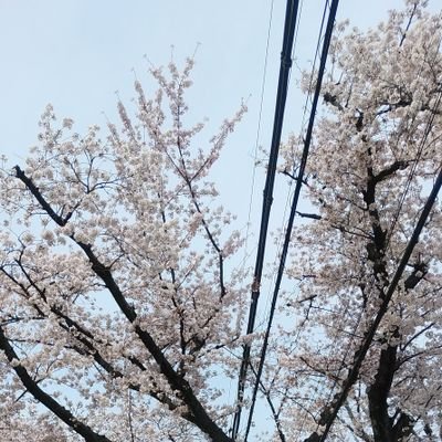 美容関係に興味が大です💕💅
kis−My−Ft2大好き、🌈🛼箱推し、玉森裕太🐥担当し続けて14目、かなりな大人
キスマイ担さんと仲良くなれた嬉しい😄です。