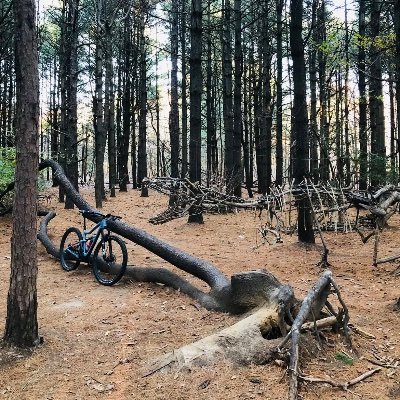 DrKevinHsu's profile picture. 