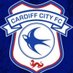 CardiffCity (@CardiffCity22) Twitter profile photo