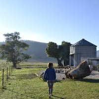 Lucy Swinnen (@swillfully) 's Twitter Profile