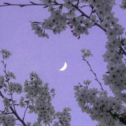 pskdanirem's profile picture. 💫Psikolojik danışman