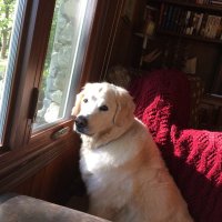 Jake (@jake98811) 's Twitter Profile