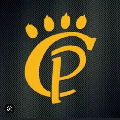 CPLadyBears Profile Picture