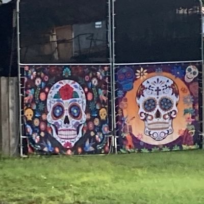 WilInscho's profile picture. 