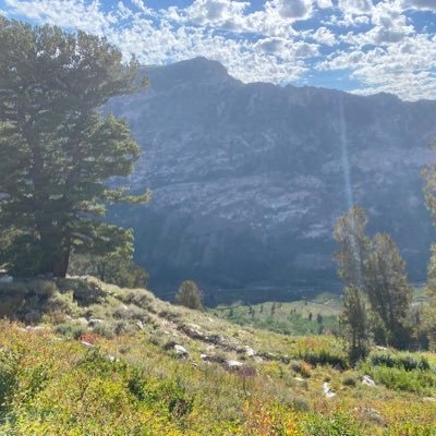 guesswhatchickenbutt