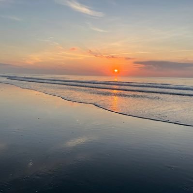 AmyMill03240067's profile picture. 