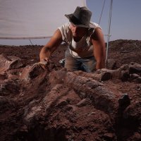 Robert A. S. Laroche (@robertaslaroche) 's Twitter Profile
