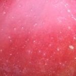 robochop5's profile picture. Shopkeeper