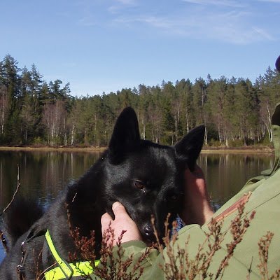 pedersen_hege's profile picture. Ants in the sleeping bag are shit.