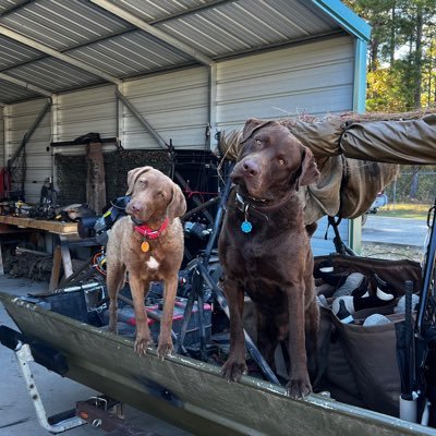 Possessed waterfowl hunter and owner/trainer of two Chesapeake Bay Retrievers. Follow my journey and enjoy my obsession with the pursuit of waterfowl.