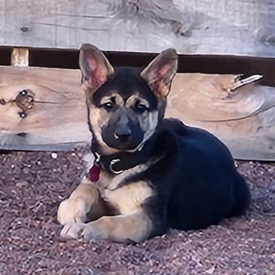I am a Marine in Southern AZ.