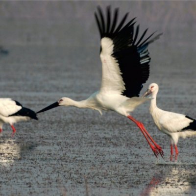 BeautyofEast1's profile picture. 