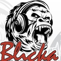 JEFF BLUCKA (@metaphor229) 's Twitter Profile