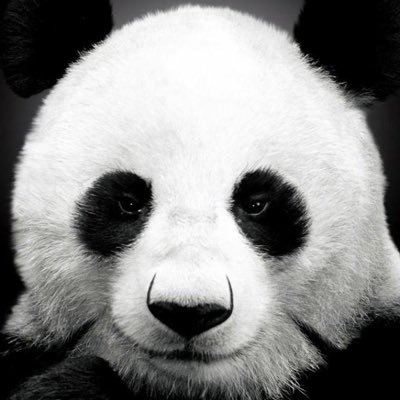 Safakmehmet's profile picture. 🤔