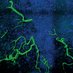 The Gilbertson Lab (@gilbertson_lab) Twitter profile photo The Gilbertson Lab (@gilbertson_lab) Twitter profile photo