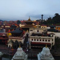 Dear Comrade (@politicnepal) 's Twitter Profile