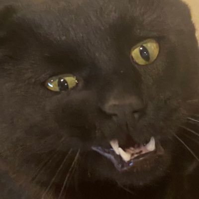 Beaさんのプロフィール画像
