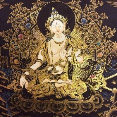 timchen1999's profile picture. 