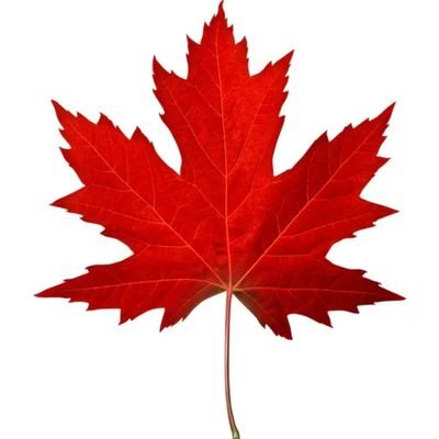 pdvharika's profile picture. ❄