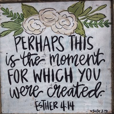 VelvetBarbs's profile picture. IMO