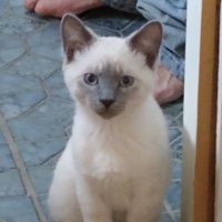 Anita (@ladair_sd) 's Twitter Profile