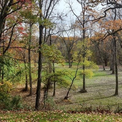 BohackRich's profile picture. 