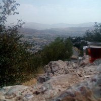 j.j (@reddish1984) 's Twitter Profile