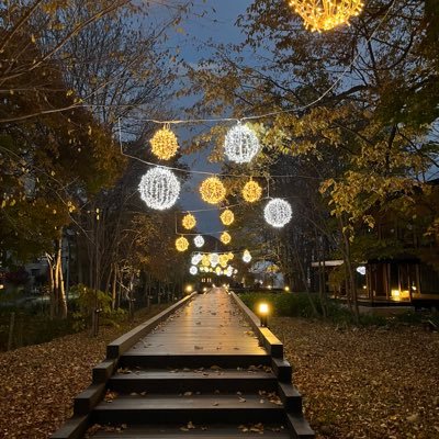 UjIEGvB4tPKCsFy's profile picture. 北海道の大学生、好きなことをして生きたいよね〜