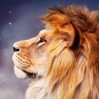 Ѓерасим (@gerasim_mk) 's Twitter Profile Photo Ѓерасим (@gerasim_mk) 's Twitter Profile Photo
