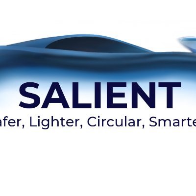 SALIENT is a RIA, running from 2022-2025 and funded by the European Union under GA No. 101069600.