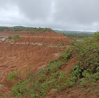 Maralmo9260's profile picture. 