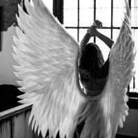 free (@freespirit2311) 's Twitter Profile Photo free (@freespirit2311) 's Twitter Profile Photo
