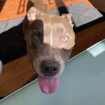 AndrewChepovet4's profile picture. 