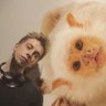 anil_ozturkk's profile picture. professional earlystopper | hustles as a @kaggle 3M | tweets in TR/EN