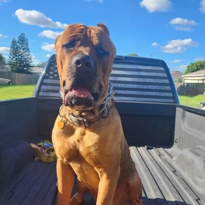 Chevytech57's profile picture. 